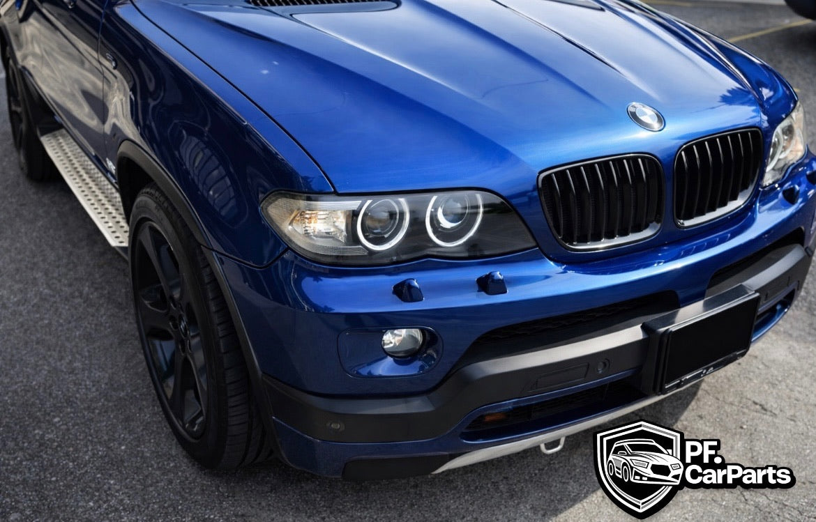 Parrilla BMW X5 E53